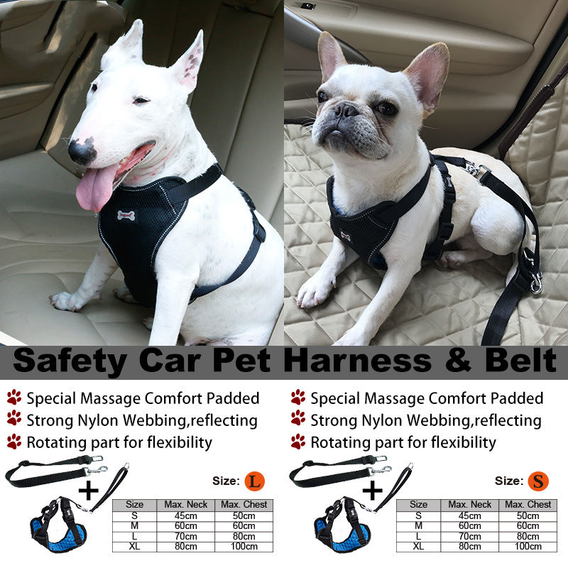 Safe, Comfortable Pet Seat Belt for Stress-Free Rides