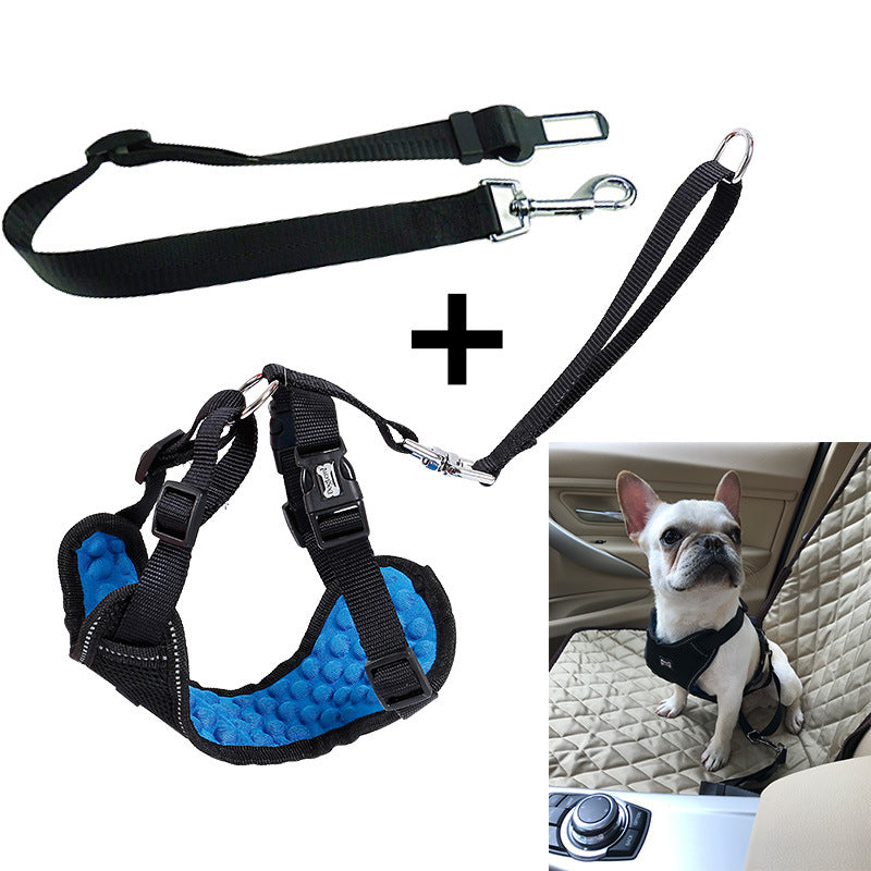 Safe, Comfortable Pet Seat Belt for Stress-Free Rides