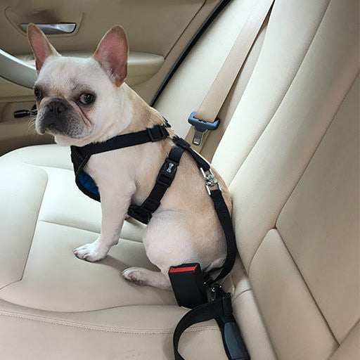 Safe, Comfortable Pet Seat Belt for Stress-Free Rides