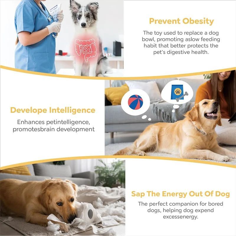 Puzzle Slow Food Bowl to Stop Fast, Messy Eating