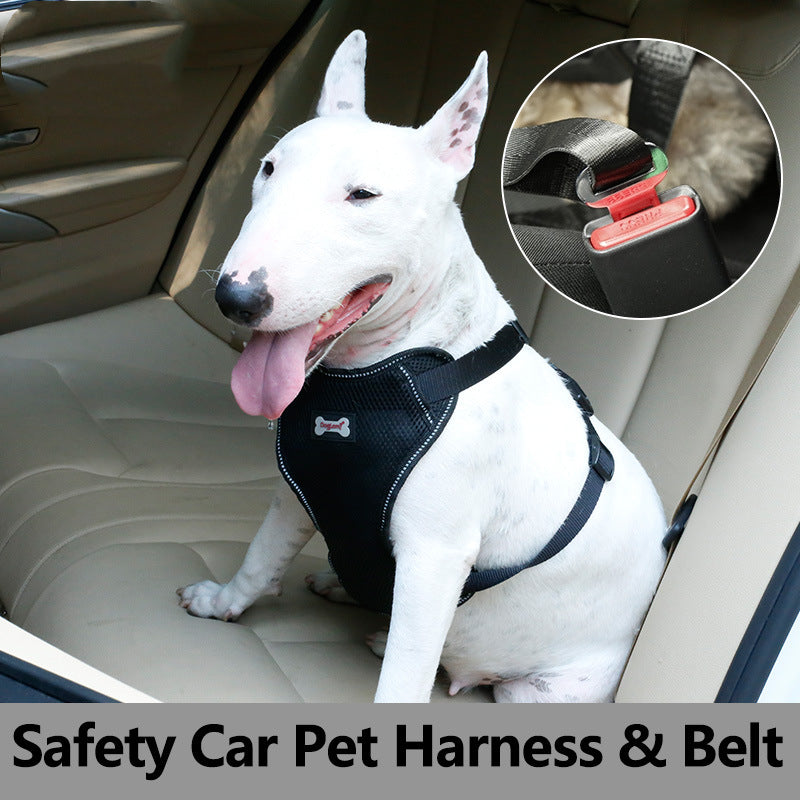 Safe, Comfortable Pet Seat Belt for Stress-Free Rides